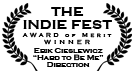 Indie Fest - Direction
